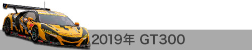 2019年成績 / GT300